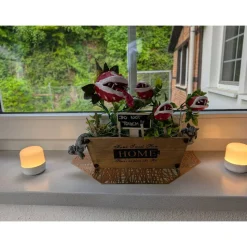 Horror-Pflanzen-Deko – Handgefertigte Unikate nach Maß