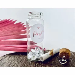 Ich bin schwanger / Schwangerschaft verkünden / Flaschenpost  / Du wist Papa / Karte Schwangerschaft mitteilen