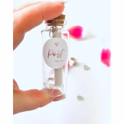 Ich bin schwanger / Schwangerschaft verkünden / Flaschenpost  / Du wist Papa / Karte Schwangerschaft mitteilen