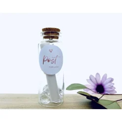 Karte Kollegin Kollege Abschied / du wirst uns fehlen / Flaschenpost