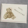 Karte zur Geburt: Teddy (rosa) ~ Hallo Baby ... willkommen auf der Welt! ~ 14,85 x 10,5 cm