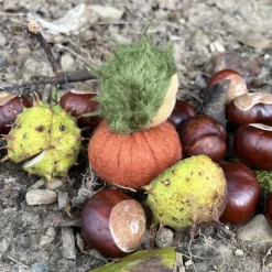 Kastanien Mini - Blumenkind - Jahreszeitentisch - Herbst