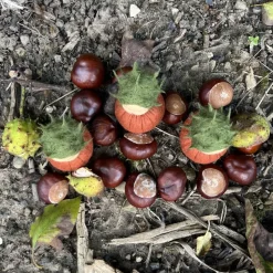 Kastanien Mini - Blumenkind - Jahreszeitentisch - Herbst