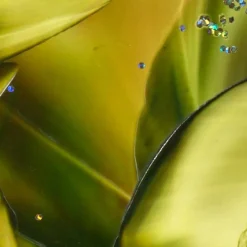 Klebefolie - Malerei • "Schöne Vorweihnachtszeit" • Fensterschmuck Design  Ulrike Kröll