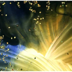 Klebefolie - Malerei • 