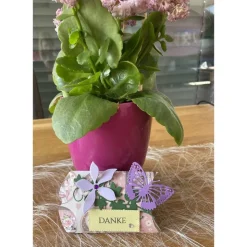 Kleine Geschenkschachtel