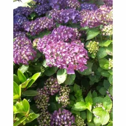 kleine Ohrstecker 8mm Cabochon bronze in mit eigenen Bild personalisiert