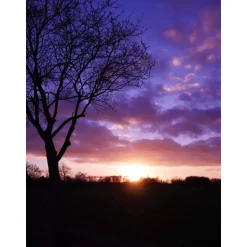 kleine Ohrstecker 8mm Cabochon bronze in mit eigenen Bild personalisiert