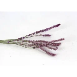 Kleiner Bund Trockenblumen Strandflieder, rosa (Limonium suworowii)