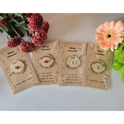 Kleiner Mutmacher aus 3 mm Sperrholz mit Gravur und Glücksstein oder Marienkäfer