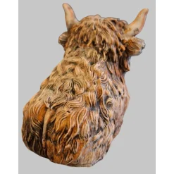 kleines Hochlandrind aus Raysin #4