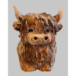 kleines Hochlandrind aus Raysin #5