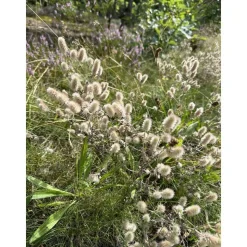 Kürbis aus Leinen XL in Rohweiß, Grün herbstliche skandi  Tischdeko
