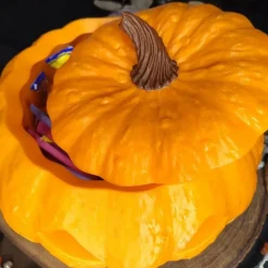 Kürbis Halloweendekoration Bonbonschale aus Kunststoff mit Deckel – Perfekte Halloween Süßigkeitenschale