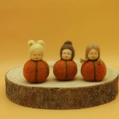 Kürbis Mini - Blumenkind - Jahreszeitentisch - Herbst