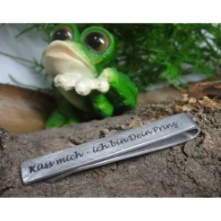 Küss mich - ich bin Dein Prinz ! Krawattennadel  aus Edelstahl für deinen Schatz