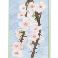 Kunst–Doppelkarte - „Mandelblüte in Spanien“ - bewusst ohne Textvorgabe - Design  Ulrike Kröll