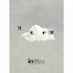Kunstdruck Druck Print "Glücksvögel", Kraniche vor weißer Wolke, blau grau weiß, Glücksgeschenk