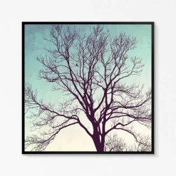 Kunstdruck, Sternenhimmel und Vogel im Winterbaum, Geschenk Weihnachten, Winterbild, 30 x 30 cm