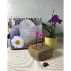 Liebe auf Treibholz, Herzen auf Schwemmholz, Liebe, Hochzeit, Valentinstag