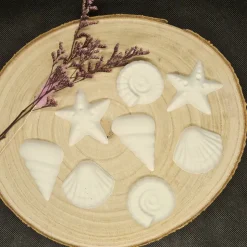 Maritime Schätze: Handgefertigte Muschel-Deko aus Raysin