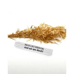 Meterstab mit Spruch 