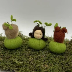 Mistel Mini - Blumenkind - Jahreszeitentisch - Winter - Frühling