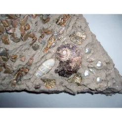 Muschelbild SANDLIEBE Collage aus Sand und Muscheln Geschenk zu Valentinstag Muttertag Herz Handarbeit  Badezimmerbild