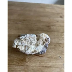 Muschelschiff You & me, Geschenk für Verliebte, Segelboot mit Spruch, kleines Mitbringsel