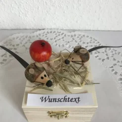 Mäuse Geldgeschenk Geburtstag Konfirmation Kommunion Firmung Jugendweihe Mädchen Junge Geld verschenken