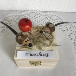 Mäuse Geldgeschenk Geburtstag Konfirmation Kommunion Firmung Jugendweihe Mädchen Junge Geld verschenken