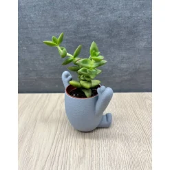 Niedlicher 3D-Blumentopf mit Gesicht | Lustige Pflanztopf-Figur für Sukkulenten | Fensterbank & Wohnzimmer Deko | Perfek