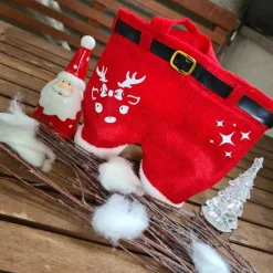 Nikolaushose Mini personalisierbar | Weihnachtsmann Hose als Geschenkverpackung | Lustige Nikolaus Geschenkidee für Kind