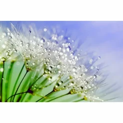 Ohrstecker gold 10mm Cabochon mit eigenen Bild personalisiert