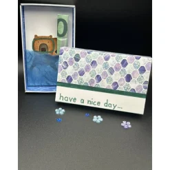 Originelle Capybara Geschenkverpackung: Lustige Box für Geldgeschenk oder Gutschein