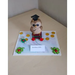 Originelles Geldgeschenk Schulabschluss Abitur – Eule mit Doktorhut & Geldklammer als Geschenkidee