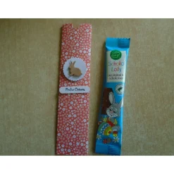 Ostergeschenk  Geschenkverpackung Ostern  Osterhase  Hase  Osterverpackung Schoko -Lolli- Schokolade Mitbringsel