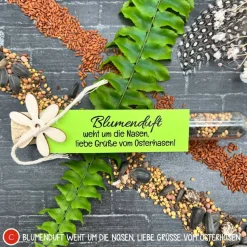 Ostergeschenk Reagenzgläser gefüllt mit Wildblumensamen oder Kressesamen - 5er Set, kleine Aufmerksamkeit, Ostern, Blume