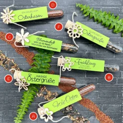 Ostergeschenk Reagenzgläser gefüllt mit Wildblumensamen oder Kressesamen - 5er Set, kleine Aufmerksamkeit, Ostern, Blume