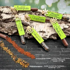 Ostergeschenk Reagenzgläser gefüllt mit Wildblumensamen oder Kressesamen - 5er Set, kleine Aufmerksamkeit, Ostern, Blume