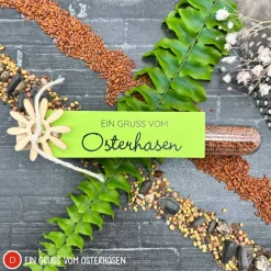 Ostergeschenk Reagenzgläser gefüllt mit Wildblumensamen oder Kressesamen - 5er Set, kleine Aufmerksamkeit, Ostern, Blume