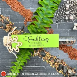 Ostergeschenk Reagenzgläser gefüllt mit Wildblumensamen oder Kressesamen - 5er Set, kleine Aufmerksamkeit, Ostern, Blume