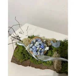 Ostergesteck auf einer Baumrinde