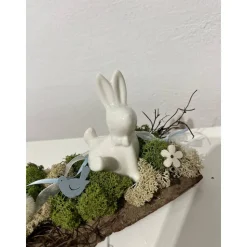 Ostergesteck auf einer Baumrinde