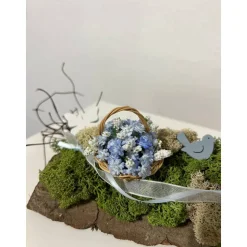 Ostergesteck auf einer Baumrinde