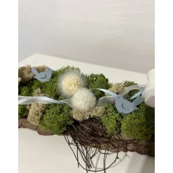 Ostergesteck auf einer Baumrinde