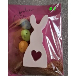 Osterhase aus Raysin – liebevolles Gastgeschenk, Mitbringsel oder kleiner Ostergruß