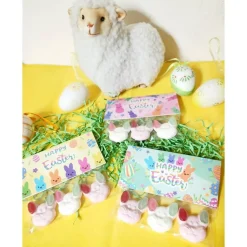 Ostern To-Go Fruchtgummi Hase – Süßes Ostergeschenk & Mitbringsel für Ostern & Frühling