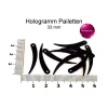 Pailetten - Hologramm - schwarz - ca. 33mm