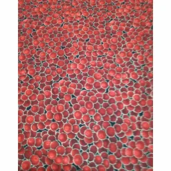 Patchworkstoff kleine rote Christrosen  auf grünem Hintergrund von Fabri Quilt Saison Greetings 216 Nr. 41